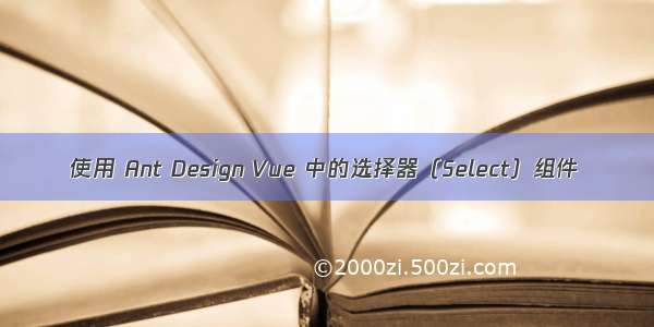 使用 Ant Design Vue 中的选择器（Select）组件