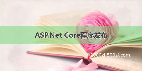ASP.Net Core程序发布