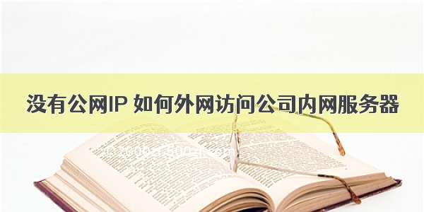 没有公网IP 如何外网访问公司内网服务器