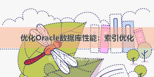 优化Oracle数据库性能：索引优化