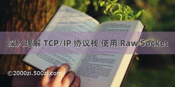 深入理解 TCP/IP 协议栈 使用 Raw Socket