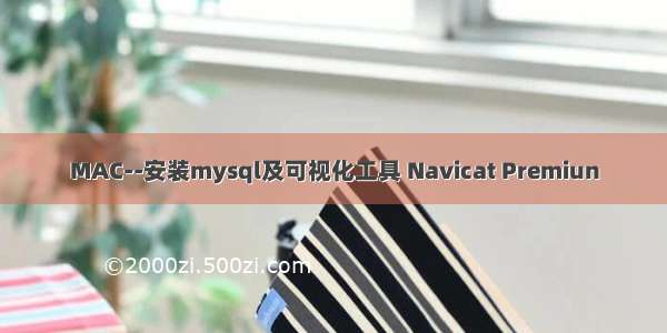 MAC--安装mysql及可视化工具 Navicat Premiun