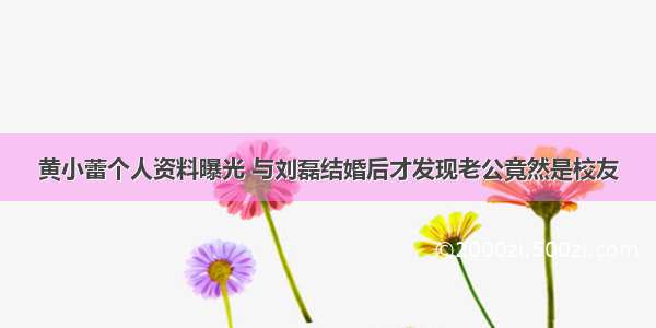 黄小蕾个人资料曝光 与刘磊结婚后才发现老公竟然是校友