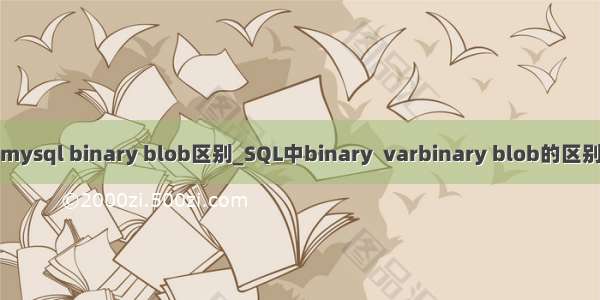 mysql binary blob区别_SQL中binary  varbinary blob的区别