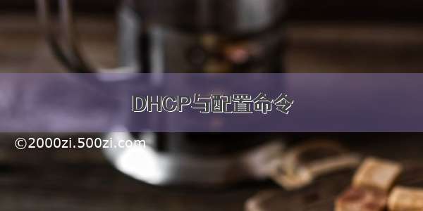 DHCP与配置命令