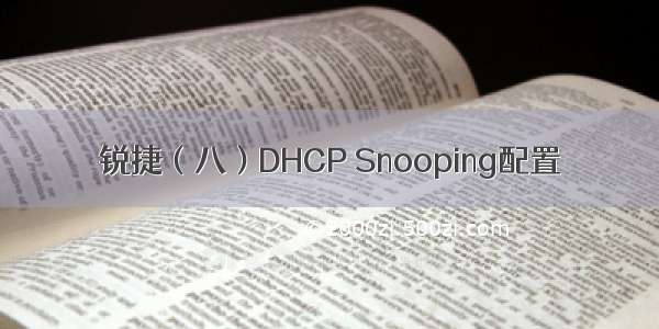 锐捷（八）DHCP Snooping配置