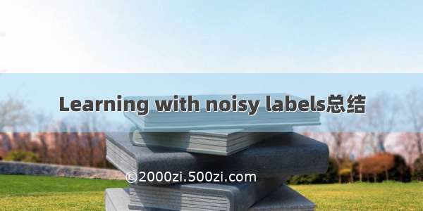 Learning with noisy labels总结