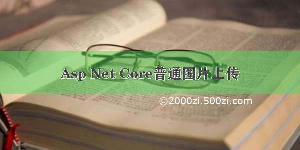 Asp Net Core普通图片上传
