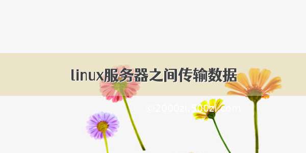 linux服务器之间传输数据