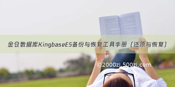 金仓数据库KingbaseES备份与恢复工具手册（还原与恢复）