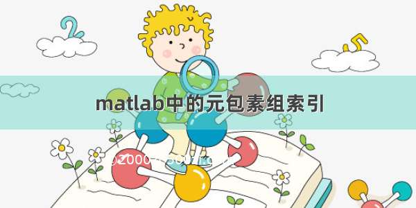 matlab中的元包素组索引