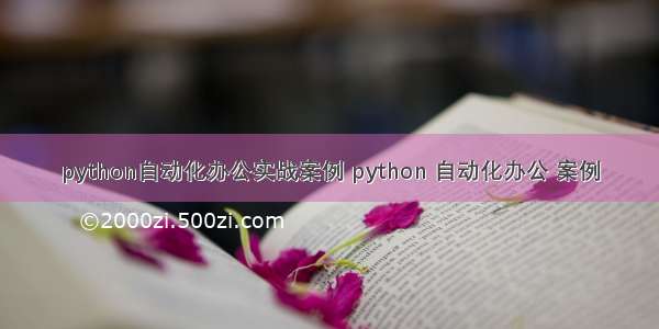 python自动化办公实战案例 python 自动化办公 案例