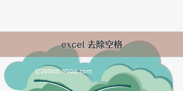 excel 去除空格