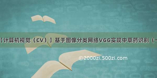 【计算机视觉（CV）】基于图像分类网络VGG实现中草药识别（一）