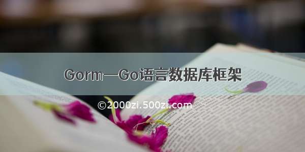 Gorm—Go语言数据库框架