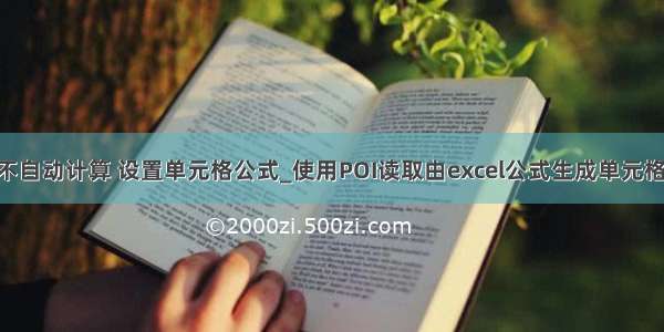 poi 不自动计算 设置单元格公式_使用POI读取由excel公式生成单元格数据