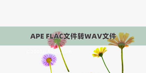 APE FLAC文件转WAV文件