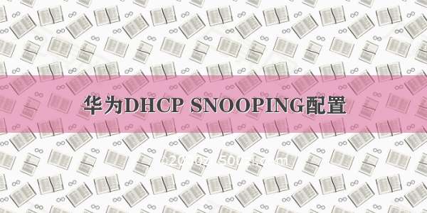 华为DHCP SNOOPING配置