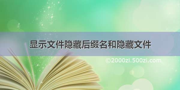 显示文件隐藏后缀名和隐藏文件