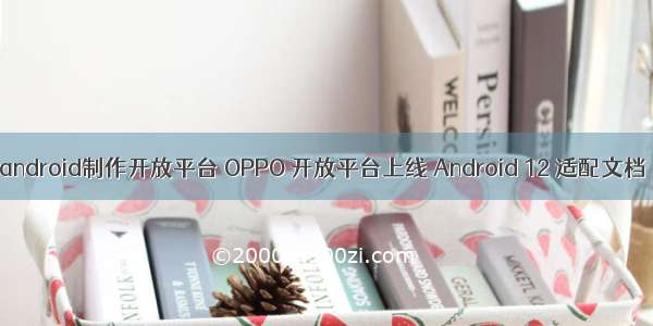 android制作开放平台 OPPO 开放平台上线 Android 12 适配文档