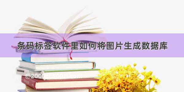 条码标签软件里如何将图片生成数据库