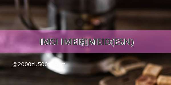 IMSI IMEI和MEID(ESN)