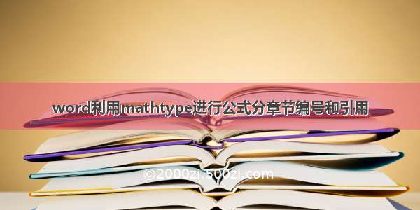 word利用mathtype进行公式分章节编号和引用