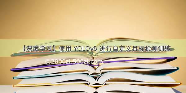 【深度学习】使用 YOLOv5 进行自定义目标检测训练