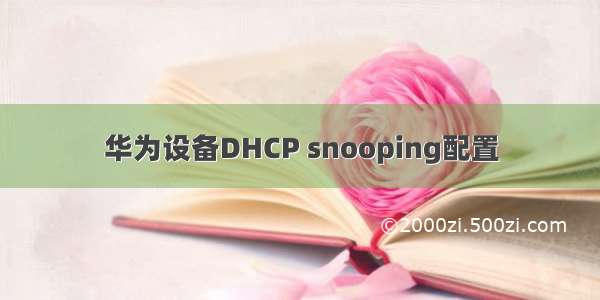 华为设备DHCP snooping配置