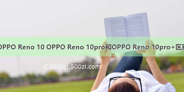 OPPO Reno 10 OPPO Reno 10pro和OPPO Reno 10pro+区别