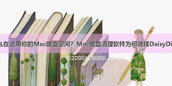 什么在占用你的Mac磁盘空间？Mac磁盘清理软件为何选择DaisyDisk？