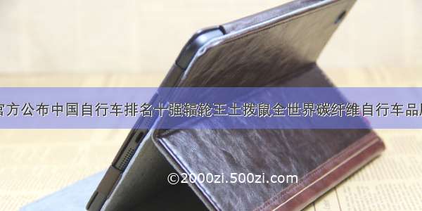 官方公布中国自行车排名十强辐轮王土拨鼠全世界碳纤维自行车品牌