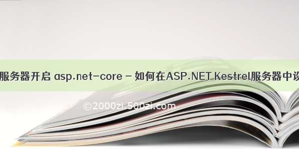 微软kestrel服务器开启 asp.net-core - 如何在ASP.NET Kestrel服务器中设置TCP待