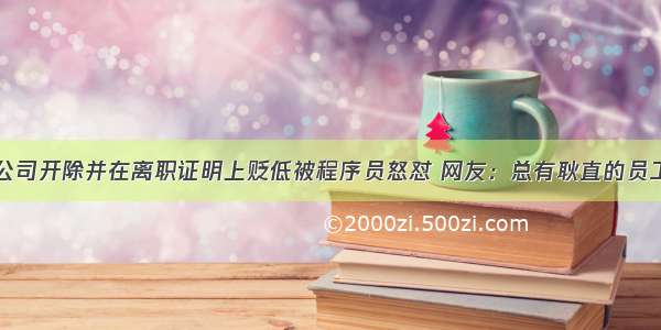 公司开除并在离职证明上贬低被程序员怒怼 网友：总有耿直的员工