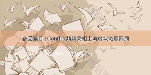 备受瞩目 | Conflux频频亮相上海区块链国际周