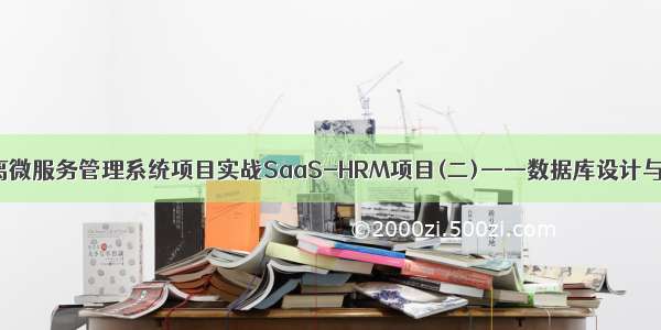 前后端分离微服务管理系统项目实战SaaS-HRM项目(二)——数据库设计与前端框架