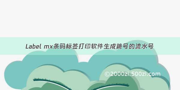 Label mx条码标签打印软件生成跳号的流水号