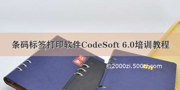 条码标签打印软件CodeSoft 6.0培训教程