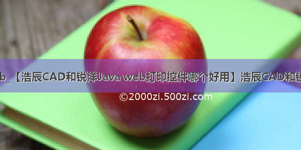 cad java web_【浩辰CAD和锐洋Java web打印控件哪个好用】浩辰CAD和锐洋Java web