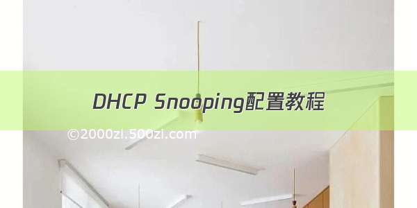DHCP Snooping配置教程