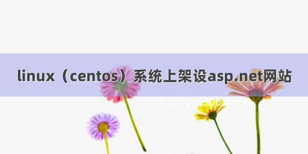 linux（centos）系统上架设asp.net网站