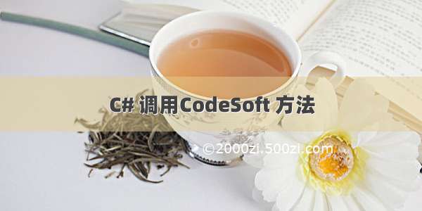 C# 调用CodeSoft 方法