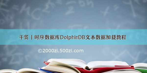 干货丨时序数据库DolphinDB文本数据加载教程