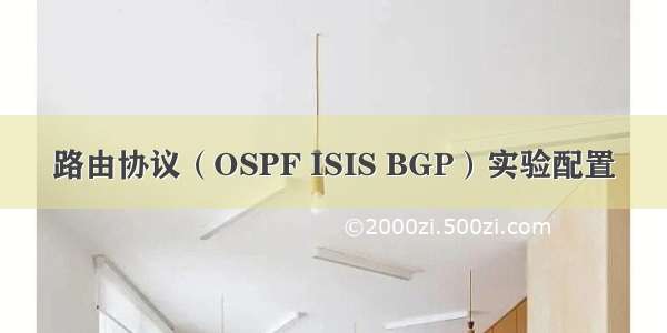 路由协议（OSPF ISIS BGP）实验配置