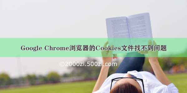 Google Chrome浏览器的Cookies文件找不到问题