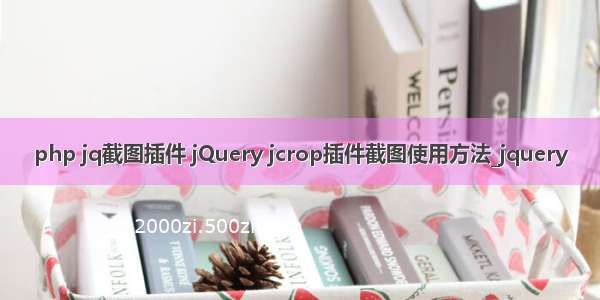 php jq截图插件 jQuery jcrop插件截图使用方法_jquery