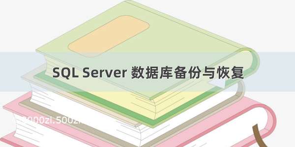 SQL Server 数据库备份与恢复