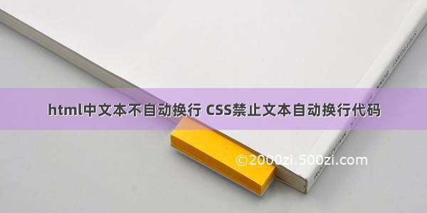 html中文本不自动换行 CSS禁止文本自动换行代码