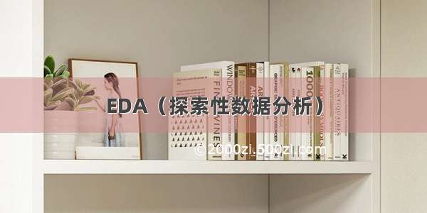 EDA（探索性数据分析）