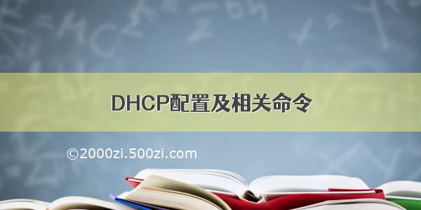 DHCP配置及相关命令